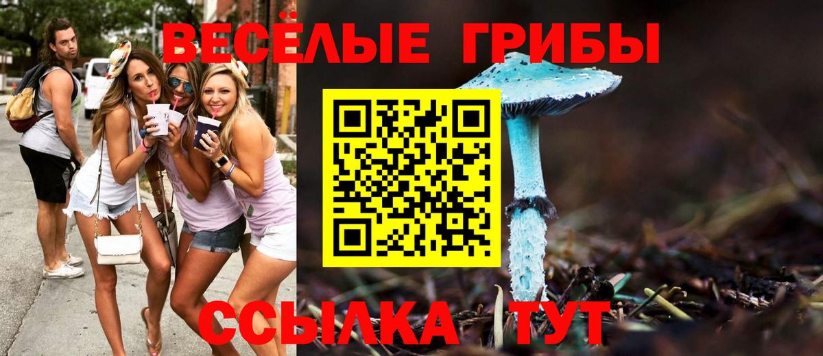 Галлюциногенные грибы ЛСД Петропавловск-Камчатский
