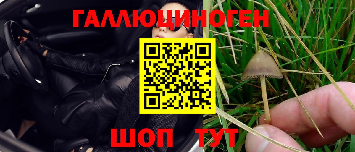 Петропавловск-Камчатский  Галлюциногенные грибы Psilocybine cubensis  Вход с VPN 